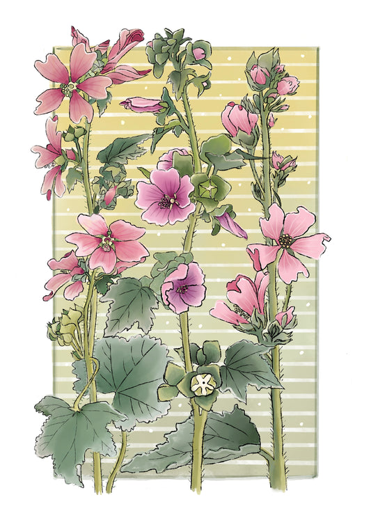 Mallow - Vintage style floral wildflower art print.