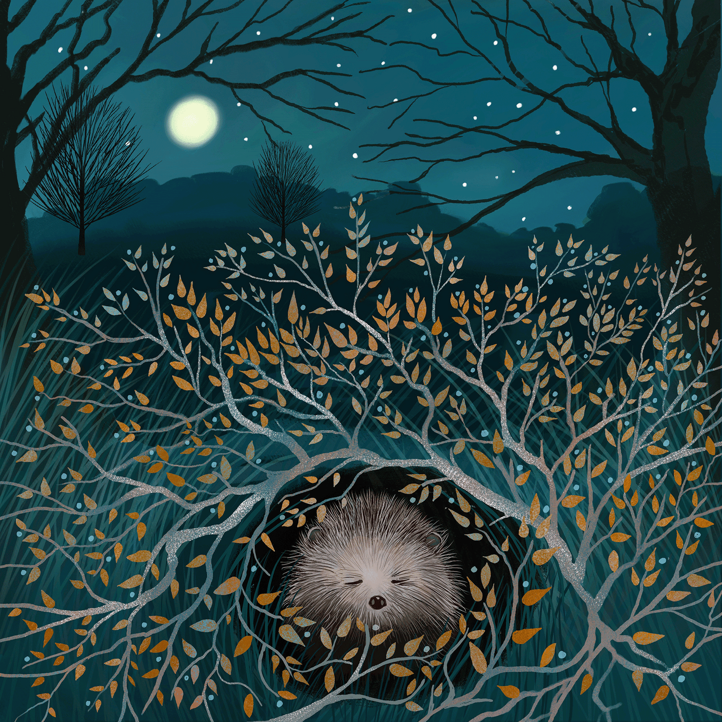 Hedgehog greetings card - Sleepy Hollow. Birthday card, thank you card, anniversary card, housewarming card. Sending love.