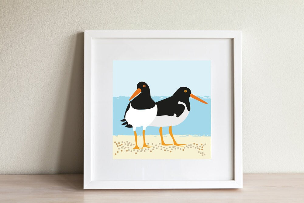 Oyster Catcher Print - contemporary design, modern prints from Scotland