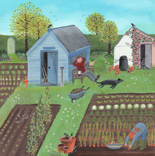 Notelets from original art. Pack of Six Notelet Cards featuring original paintings by Caroline Smith. Pack No1.