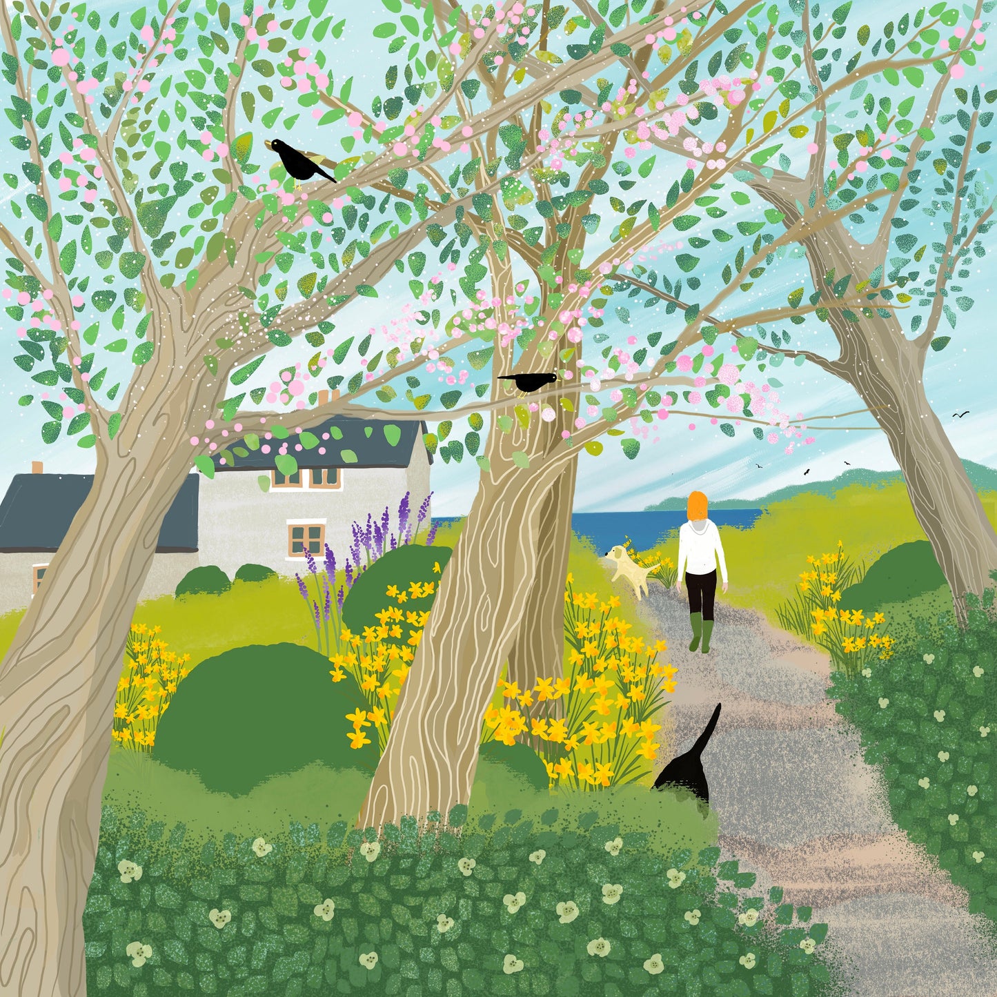 Spring Morning greetings card from original art by Caroline Smith. Blank greetings cards. A cottage by the sea. Labradors.