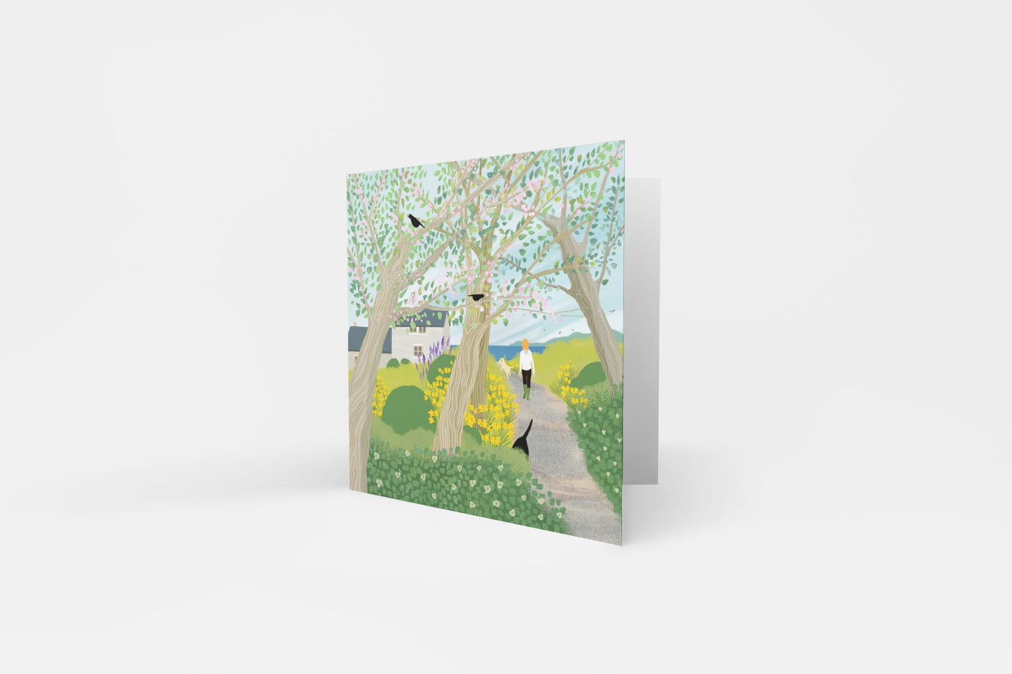 Spring Morning greetings card from original art by Caroline Smith. Blank greetings cards. A cottage by the sea. Labradors.