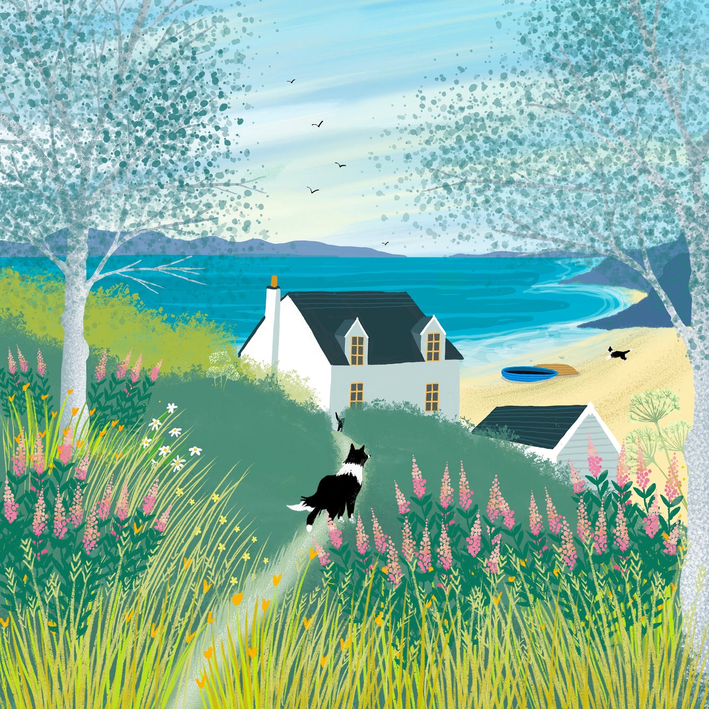 Come on Down! greetings card from original art by Caroline Smith. Blank greetings cards. A cottage by the sea. Border Collies.