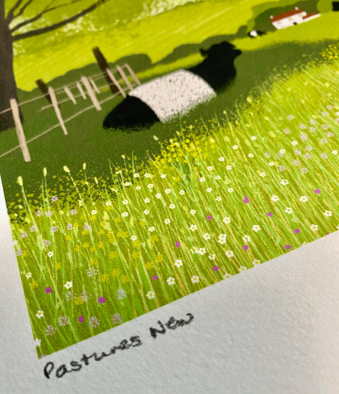 Pastures New - Signed Giclee Print.. Art print, Home Decor, Office Art. Summer pastures with Belted Galloways.