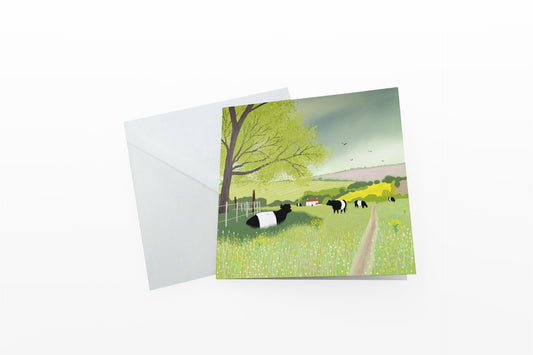 Pastures New - greetings card from original art by Caroline Smith. Blank greetings cards. Summer pasture with Belted Galloways.