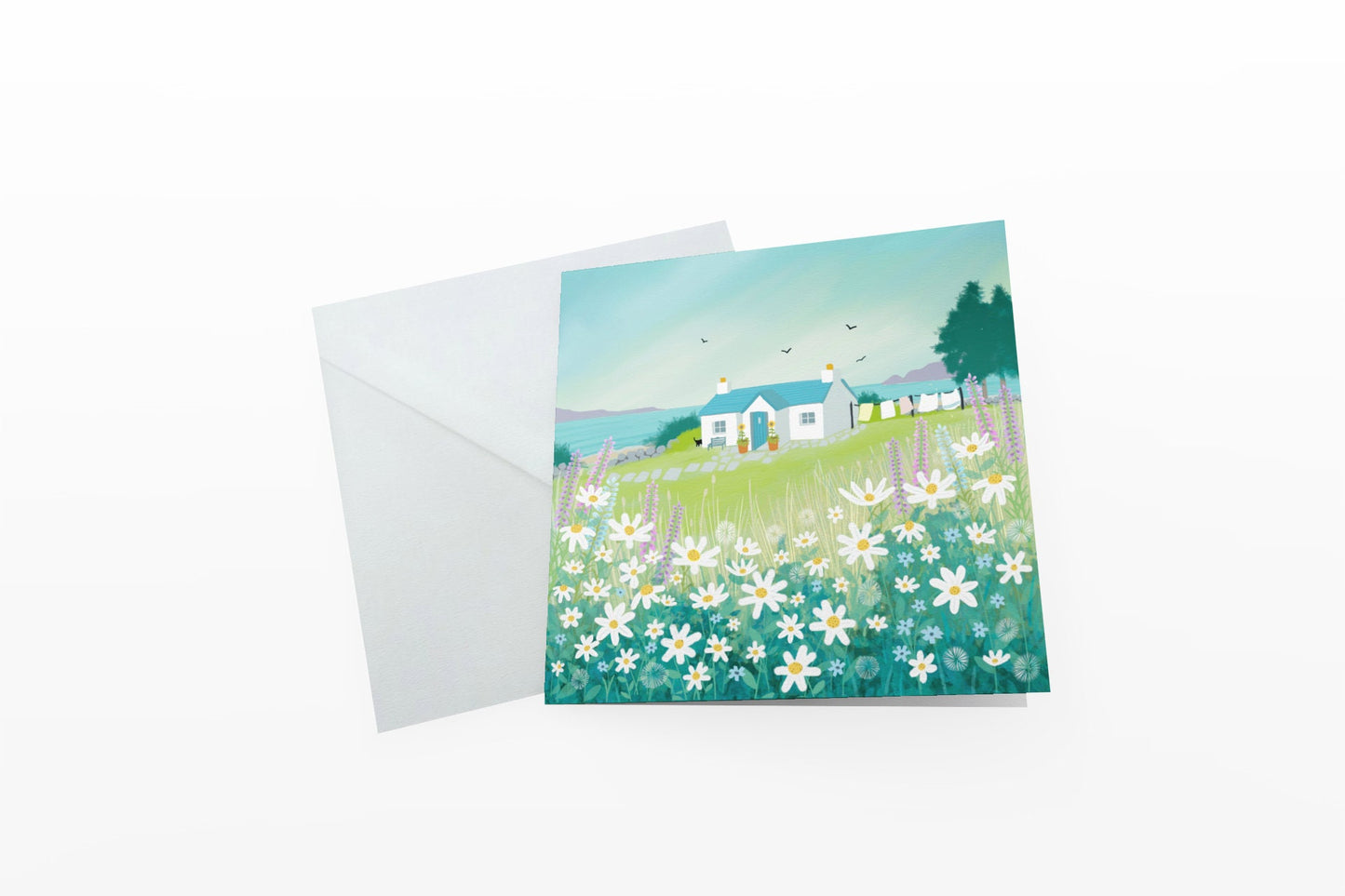 Fresh as a Daisy greetings card from an original painting by Caroline Smith. Blank greetings cards.