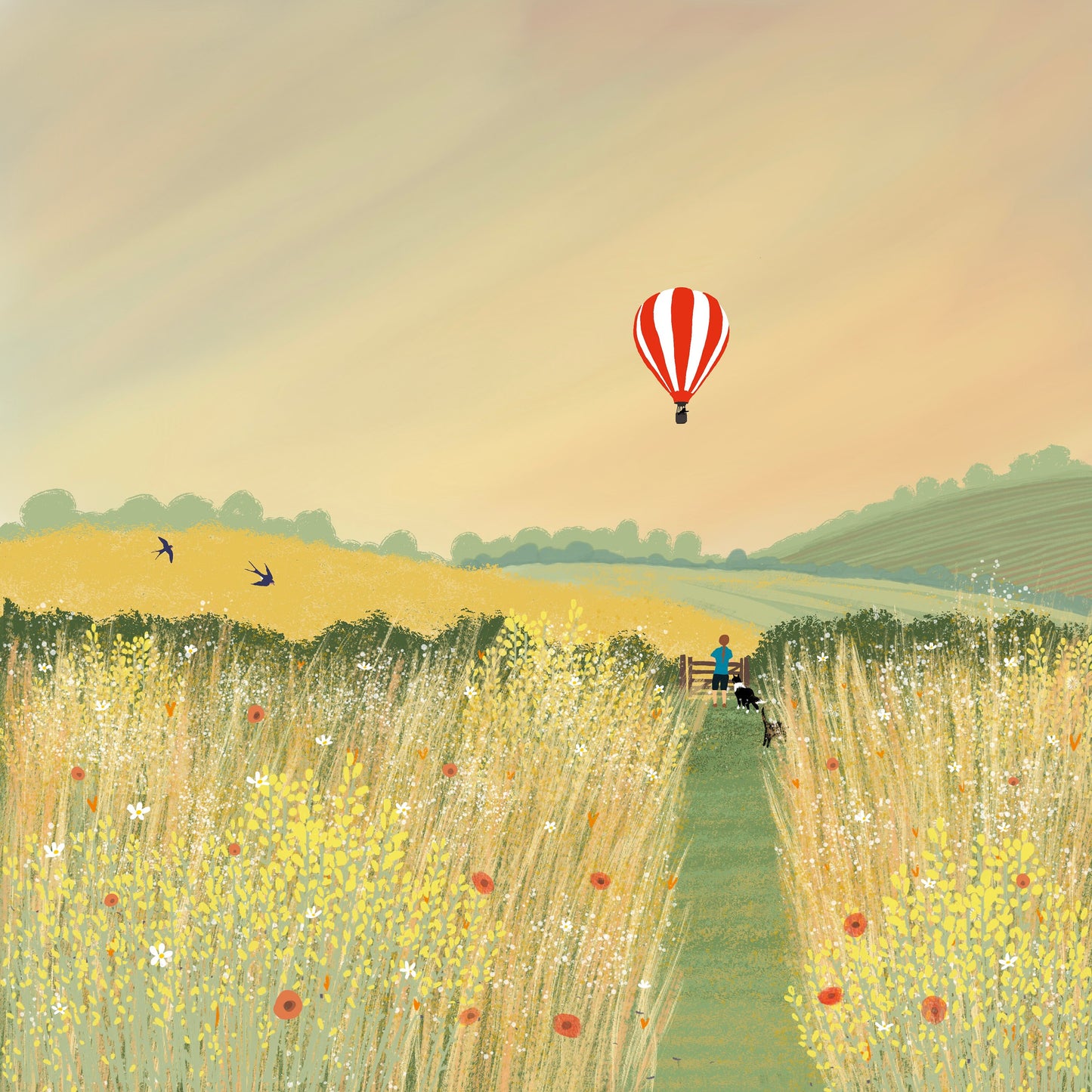 Hot Air greetings card from original artwork by Caroline Smith. Blank greetings cards. Featuring a Hot air balloon.