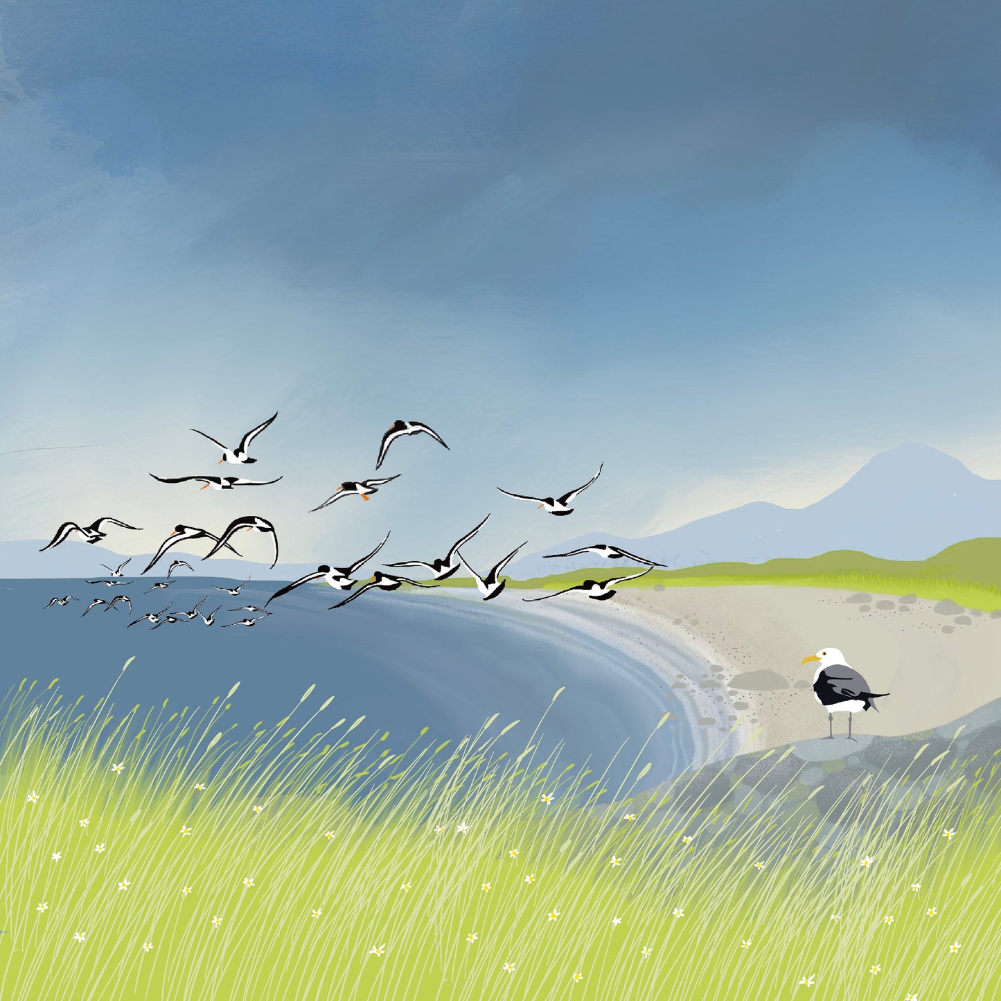 Qyster Bay greetings card. Coastal Landscape. Birthday card, thank you card, anniversary card, housewarming card. Sending love.