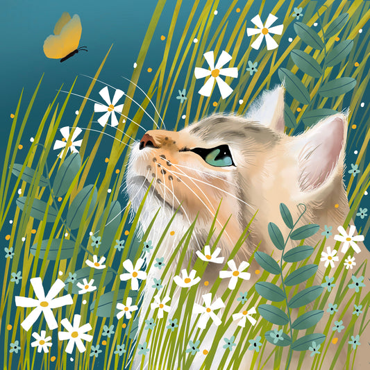 Luna the Cat, greetings card. Long haired cat. Cat lovers greeting cards handmade. Card for birthday, anniversary, housewarming or thank you