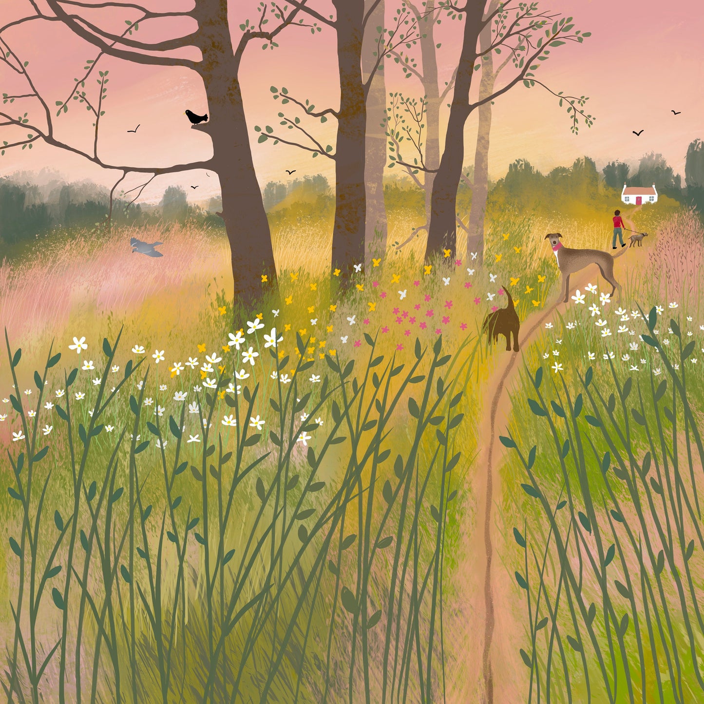 Morning Glow, greetings card. Country cottage landscape featuring a morning walk with the dogs.