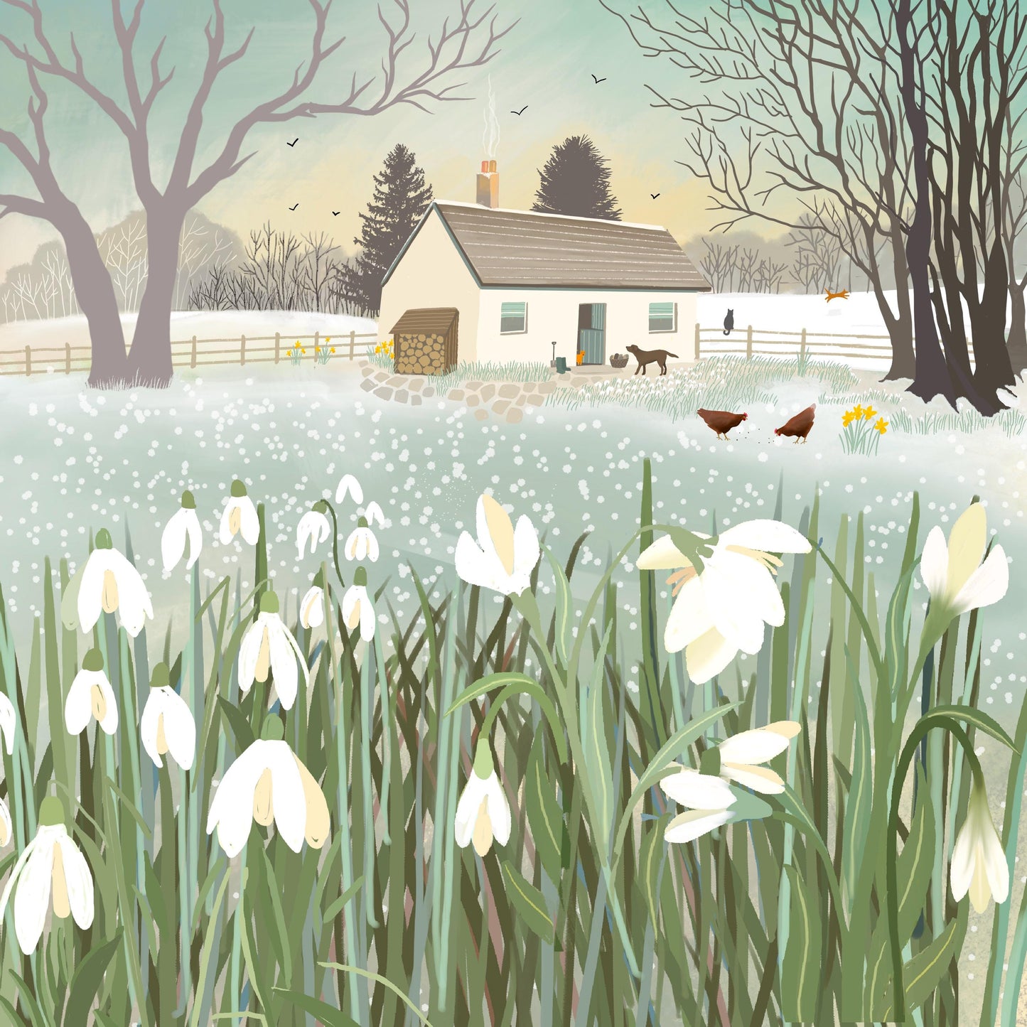 Snowdrop Croft Greetings Card: Frosty Winter Scene with a cottage and snowdrops, Caroline Smith Art