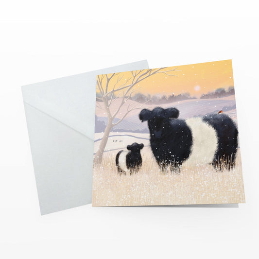 Baltic Belties Greetings Card: Belted Galloway Cattle in a snowy winter landscape