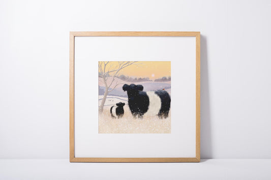 Baltic Belties Art Print. Print only or framed. Belted Galloway Cattle in a scottish winter landscape.