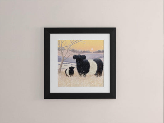Belted Galloway Cattle Print: Scottish Winter Landscape Art