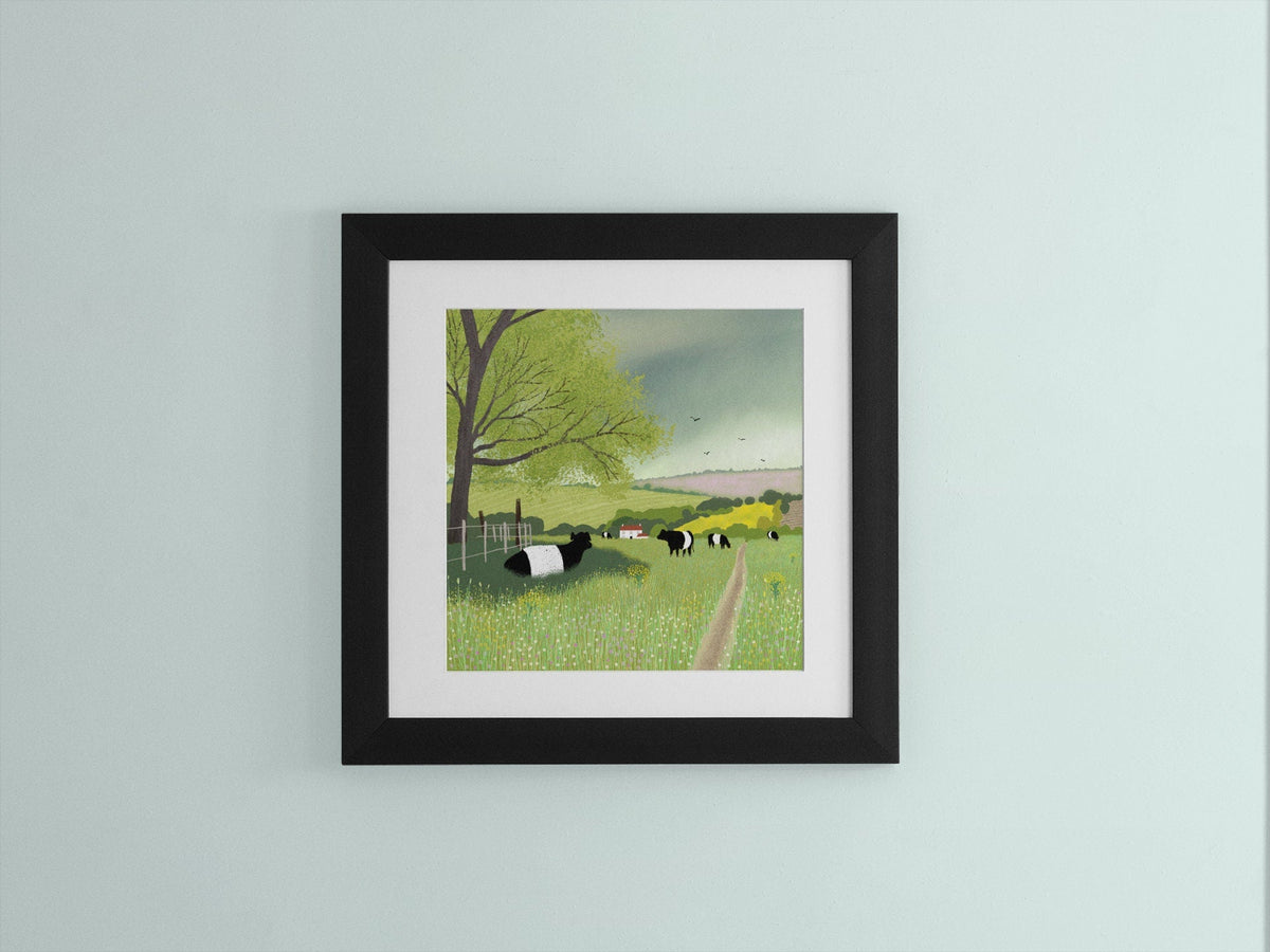 Belted Galloway Art Print: Scottish Highland Cows, Farmhouse Decor