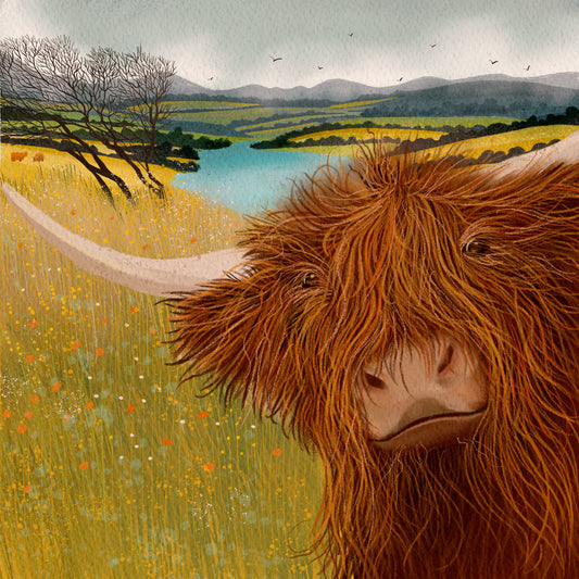 Hairy Coo