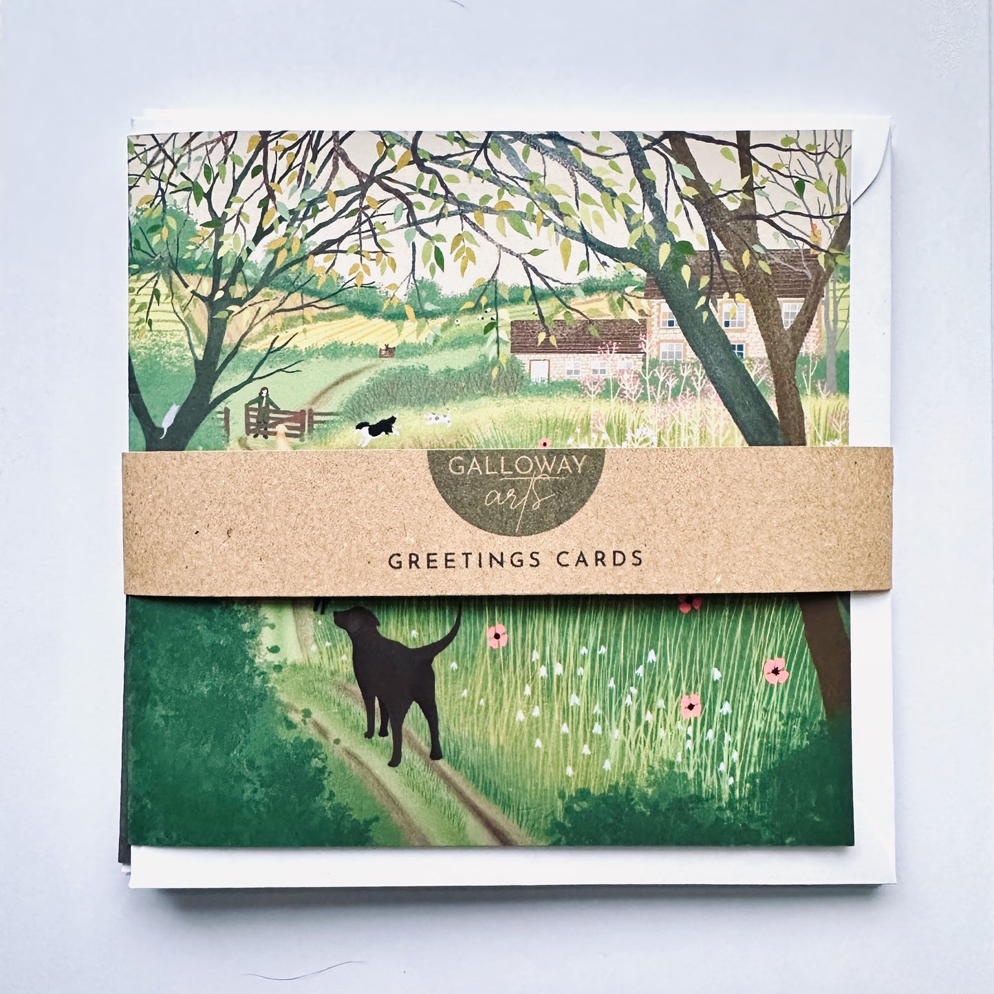 Pack of 4 Galloway Days Spring Greetings Cards.