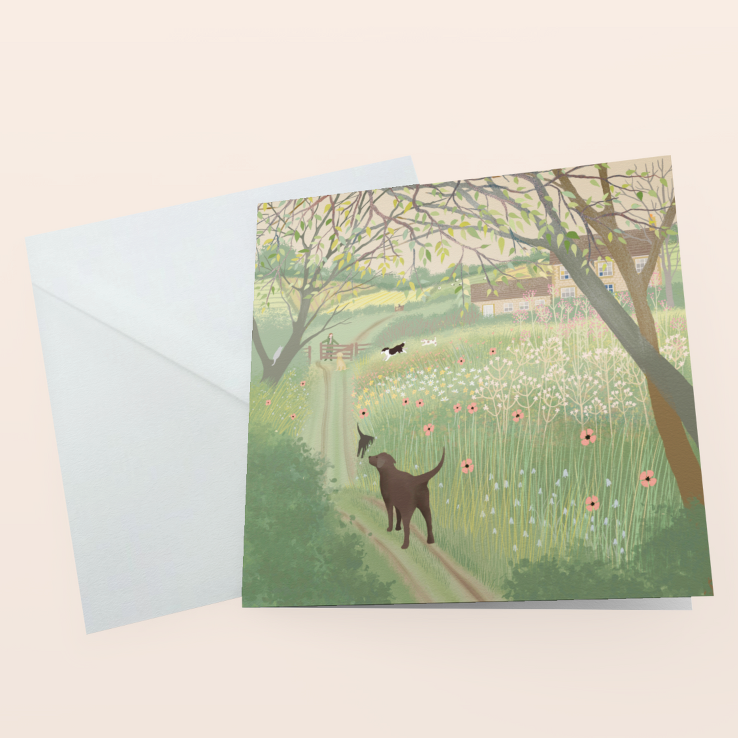 Pack of 4 Galloway Days Spring Greetings Cards.