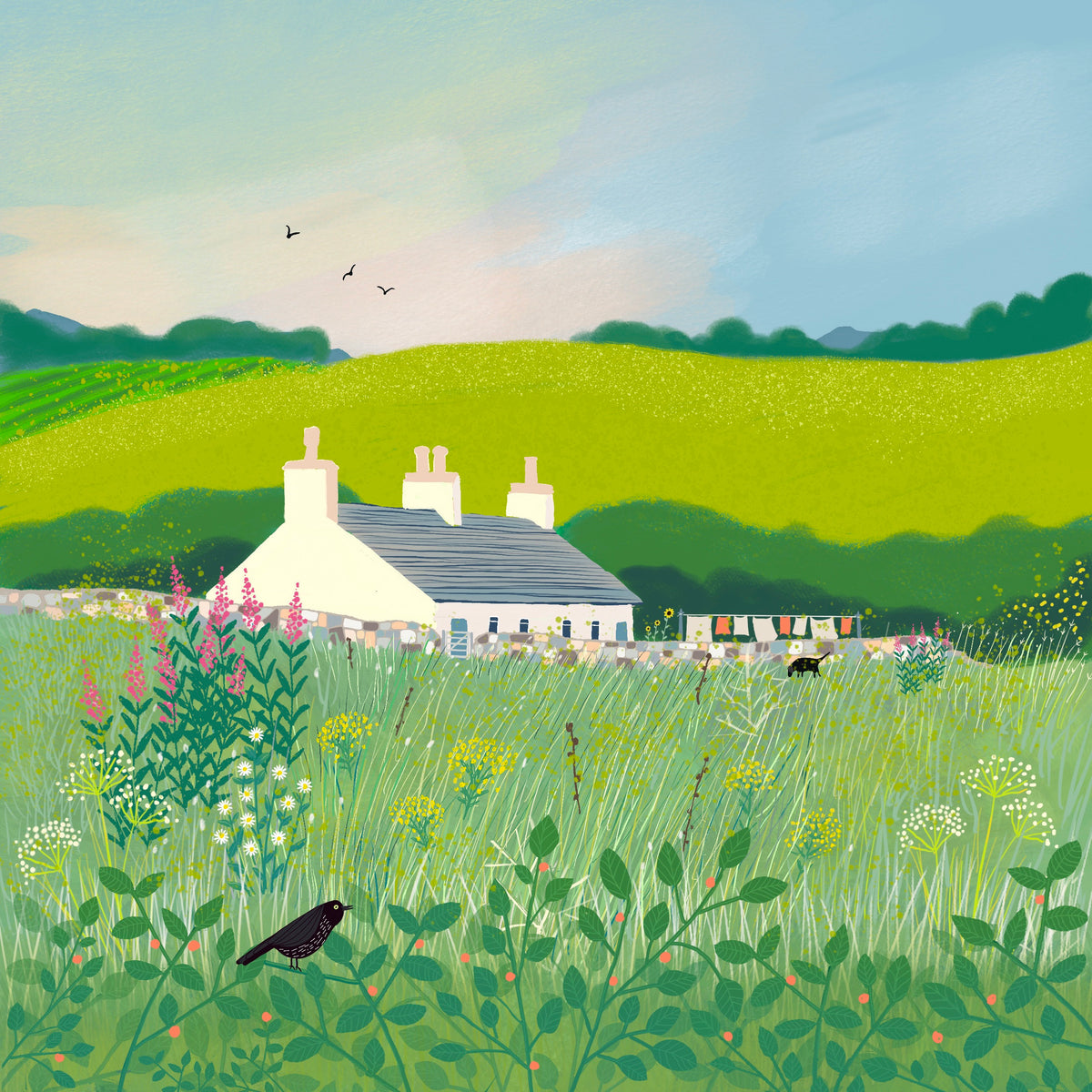 Wigtownshire Cottage Art Print, Summer Wildflowers, Signed Giclee Print
