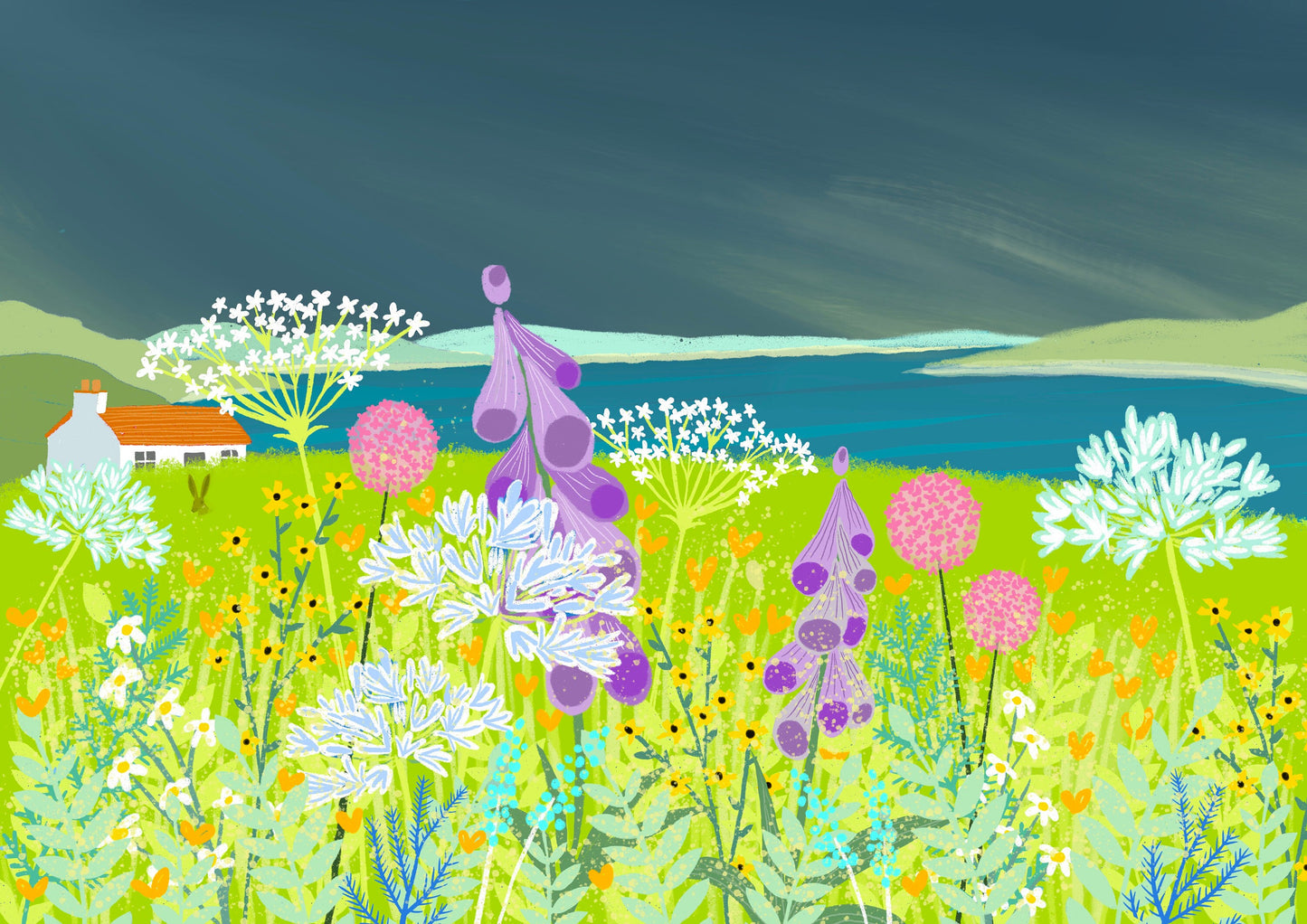 Hebridean Summer - Signed Giclee Print. Art print, Home Decor, Office Art. Wildflowers on a remote Scottish Coast.