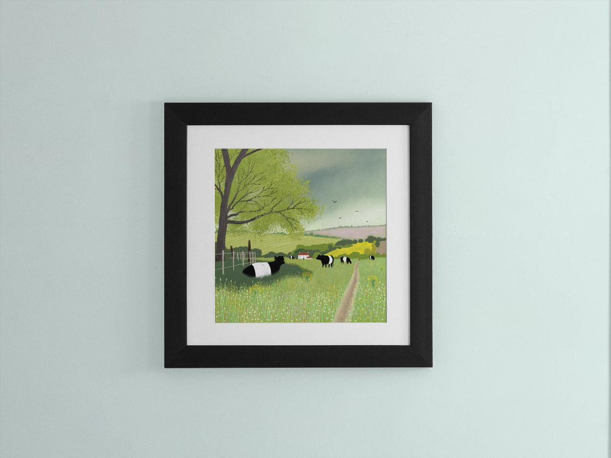 Belted Galloway Art Print: Scottish Highland Cows, Farmhouse Decor