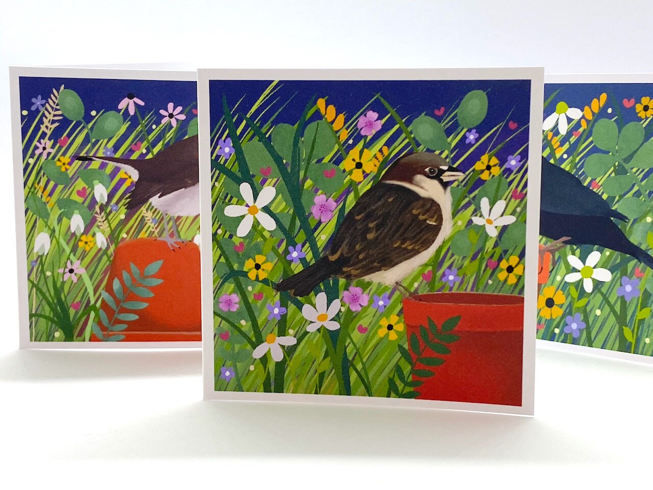 Pack of 8 Garden Bird Notelets from original art. Notelet Cards with envelopes featuring original paintings by Caroline Smith.