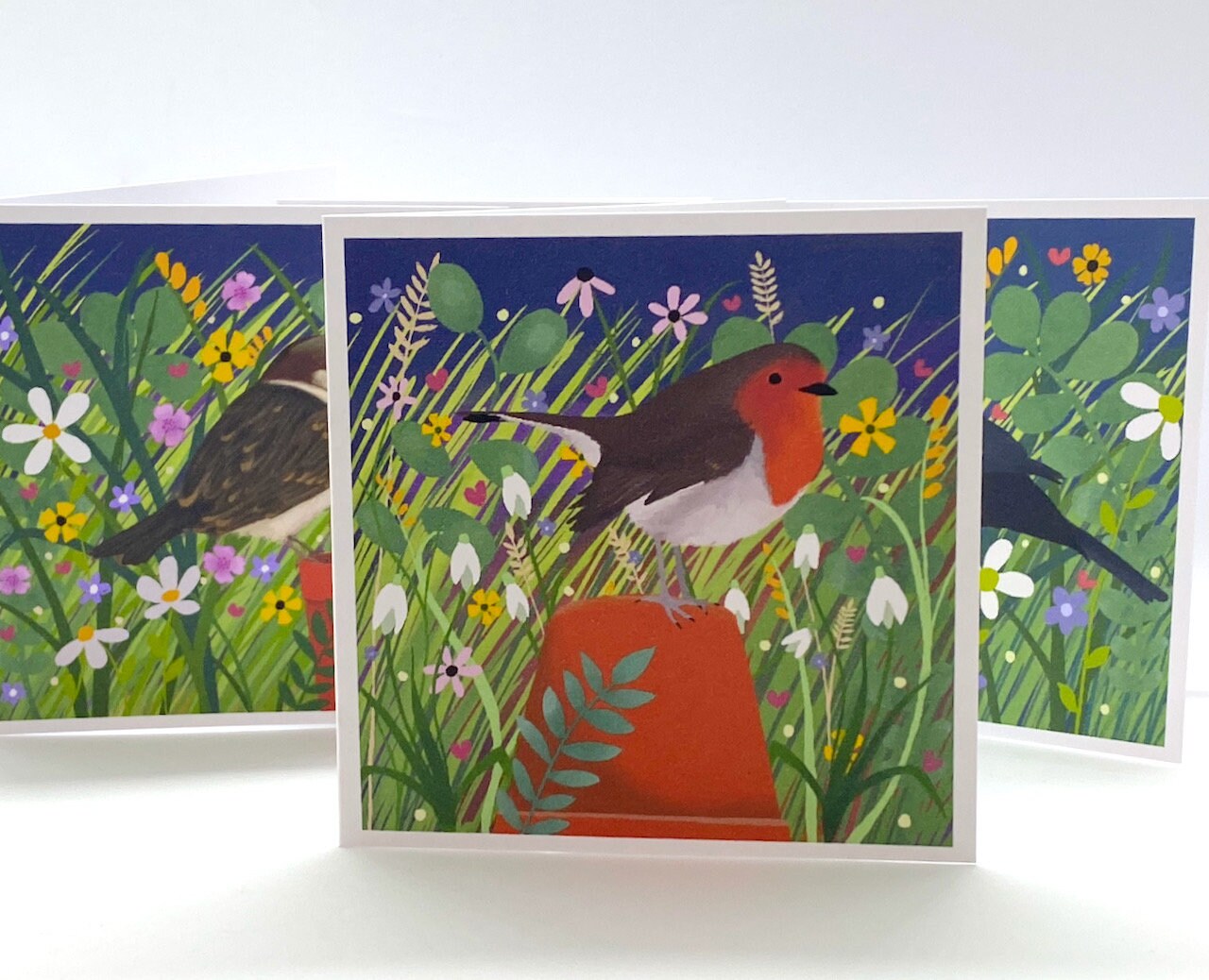 Pack of 8 Garden Bird Notelets from original art. Notelet Cards with envelopes featuring original paintings by Caroline Smith.