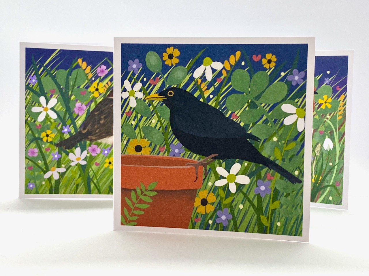 Pack of 8 Garden Bird Notelets from original art. Notelet Cards with envelopes featuring original paintings by Caroline Smith.