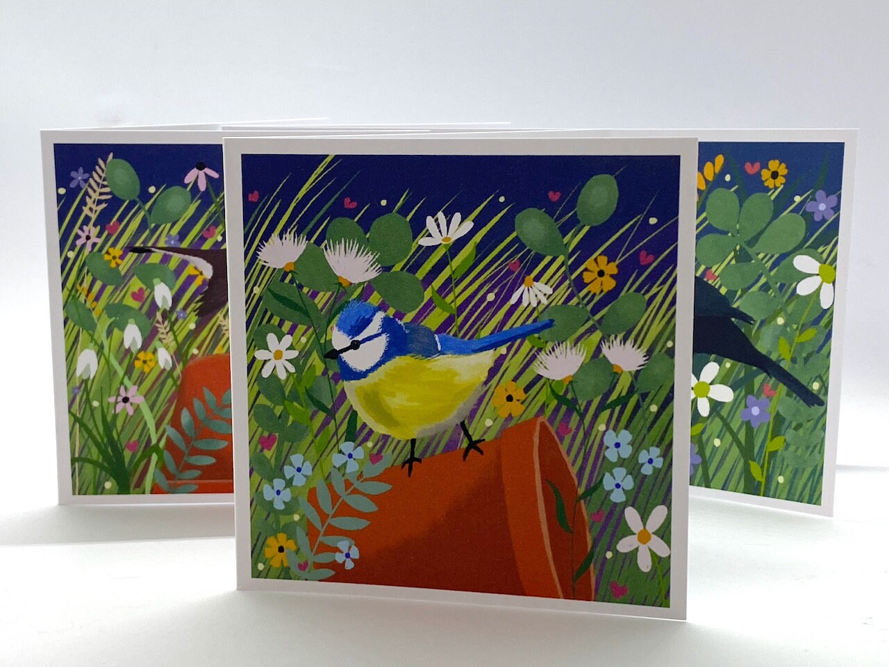 Pack of 8 Garden Bird Notelets from original art. Notelet Cards with envelopes featuring original paintings by Caroline Smith.