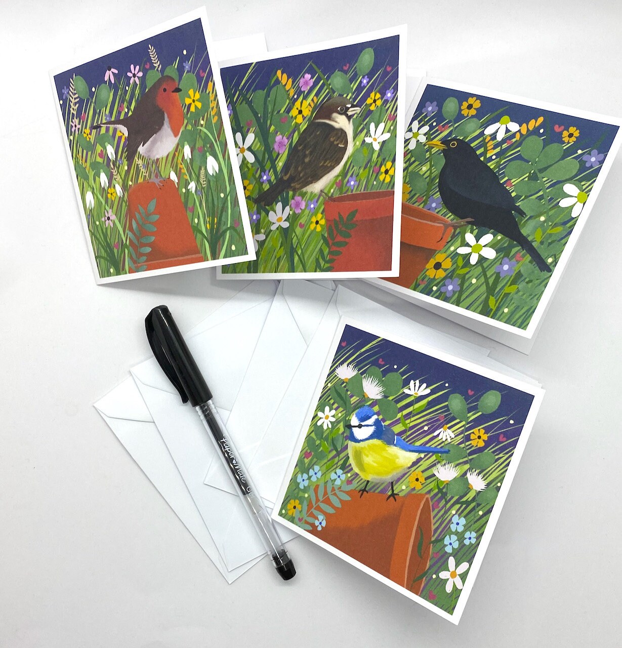 Pack of 8 Garden Bird Notelets from original art. Notelet Cards with envelopes featuring original paintings by Caroline Smith.