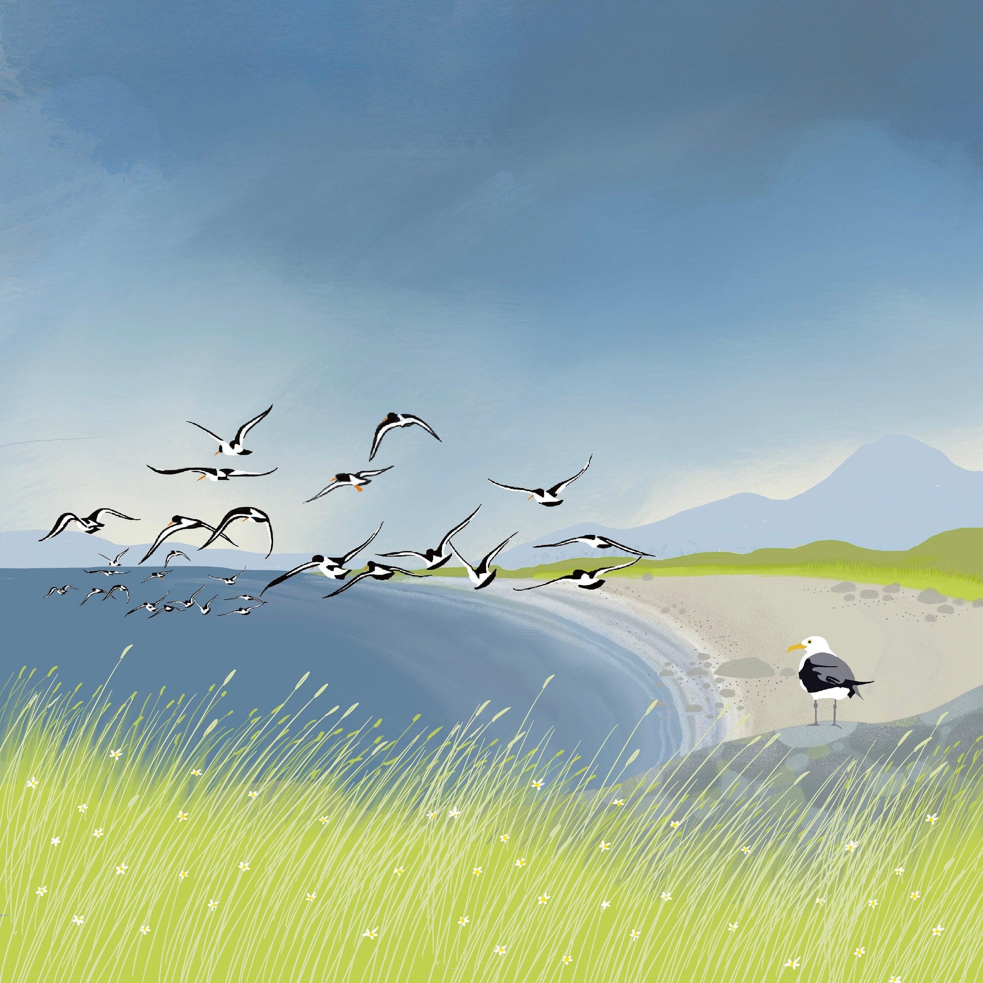 Oyster Bay. From original artwork by Caroline Smith. Signed Giclee art print. Scottish Art, Office Art