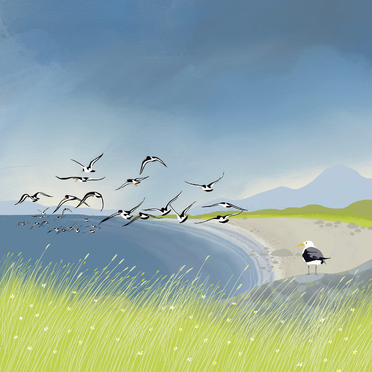 Oyster Bay. From original artwork by Caroline Smith. Signed Giclee art print. Scottish Art, Office Art