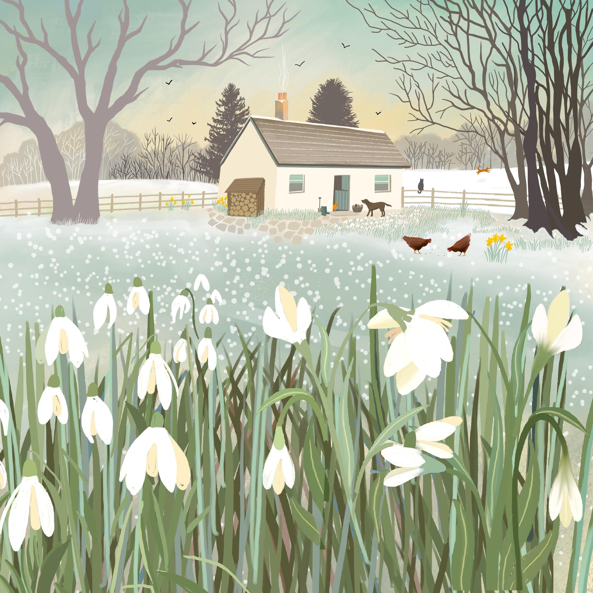 Snowdrop Croft Greetings Card: Frosty Winter Scene with a cottage and snowdrops, Caroline Smith Art