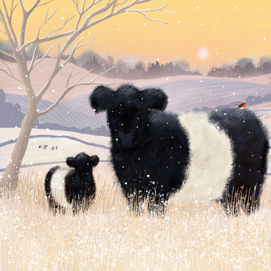 Baltic Belties Art Print. Print only or framed. Belted Galloway Cattle in a scottish winter landscape.
