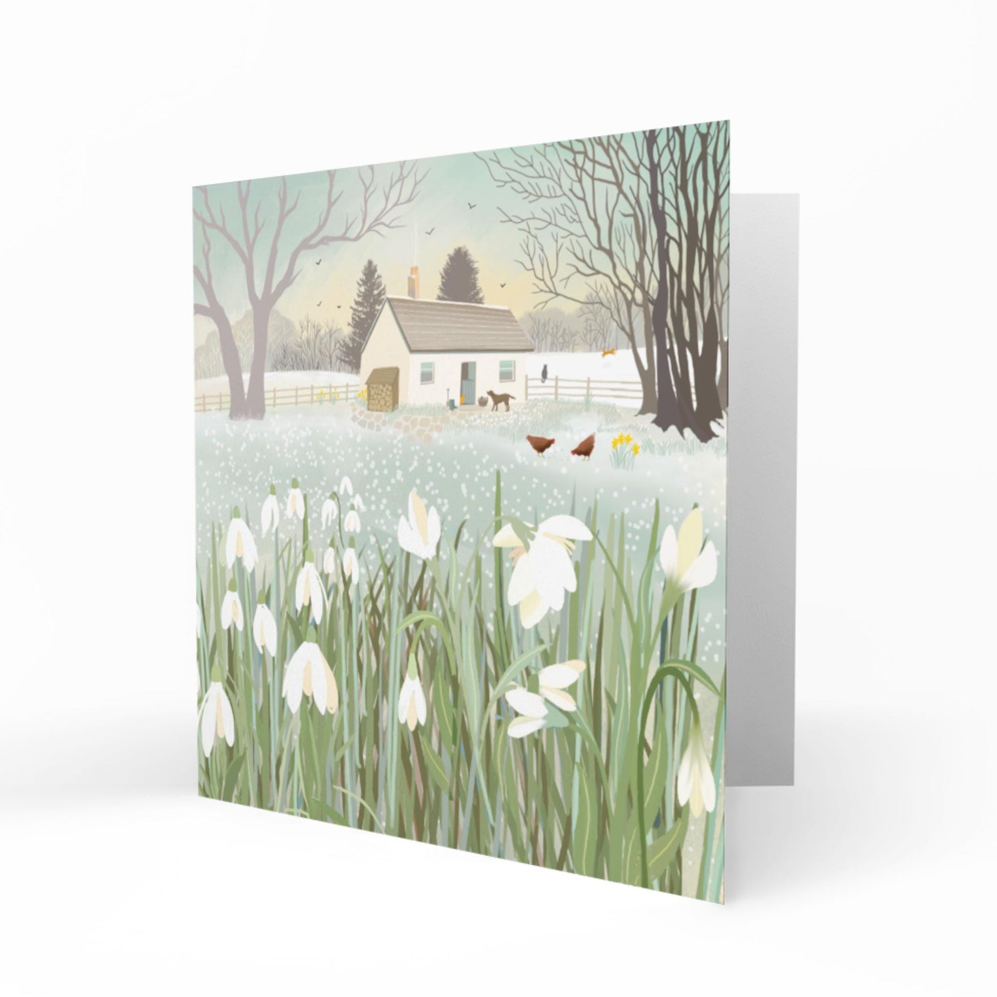 Snowdrop Croft Greetings Card: Frosty Winter Scene with a cottage and snowdrops, Caroline Smith Art