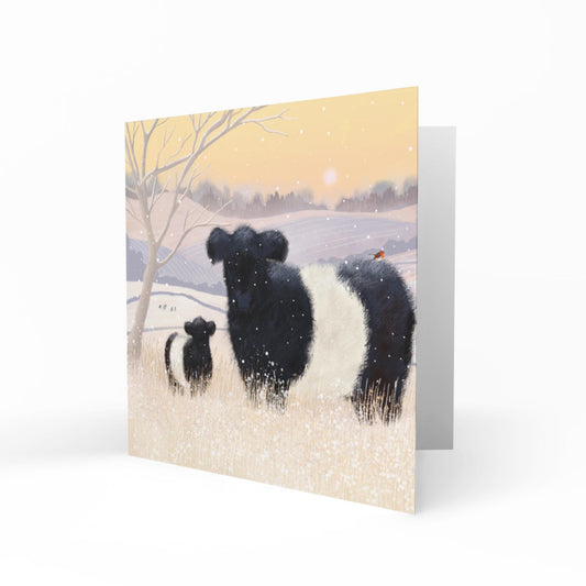 Baltic Belties Greetings Card: Belted Galloway Cattle in a snowy winter landscape