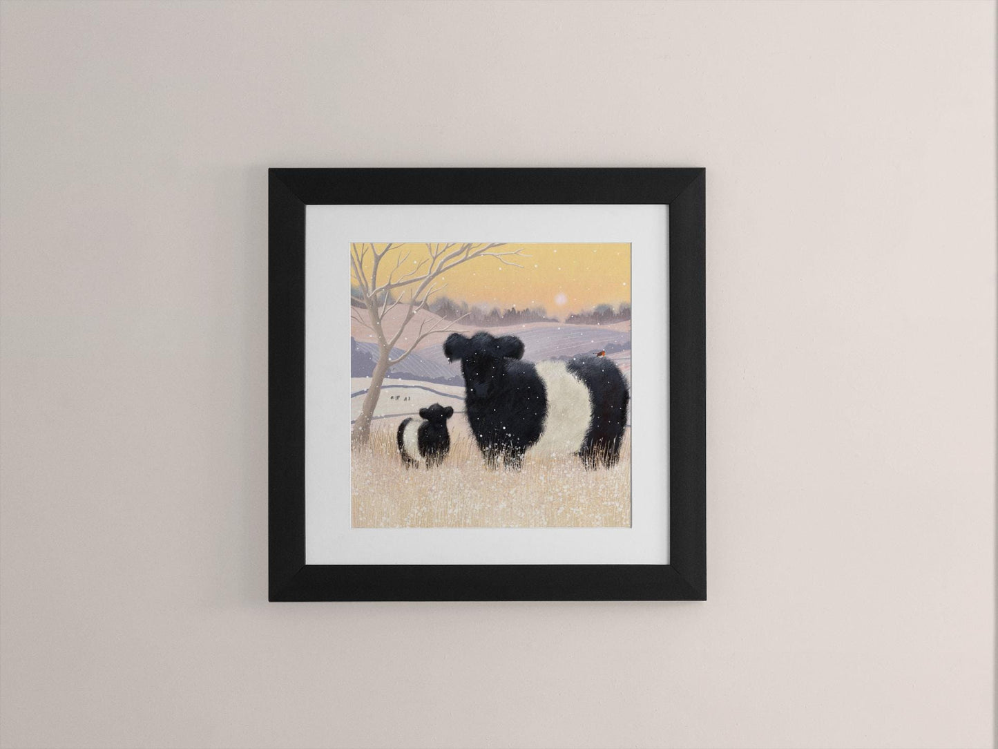 Baltic Belties Art Print. Print only or framed. Belted Galloway Cattle in a scottish winter landscape.