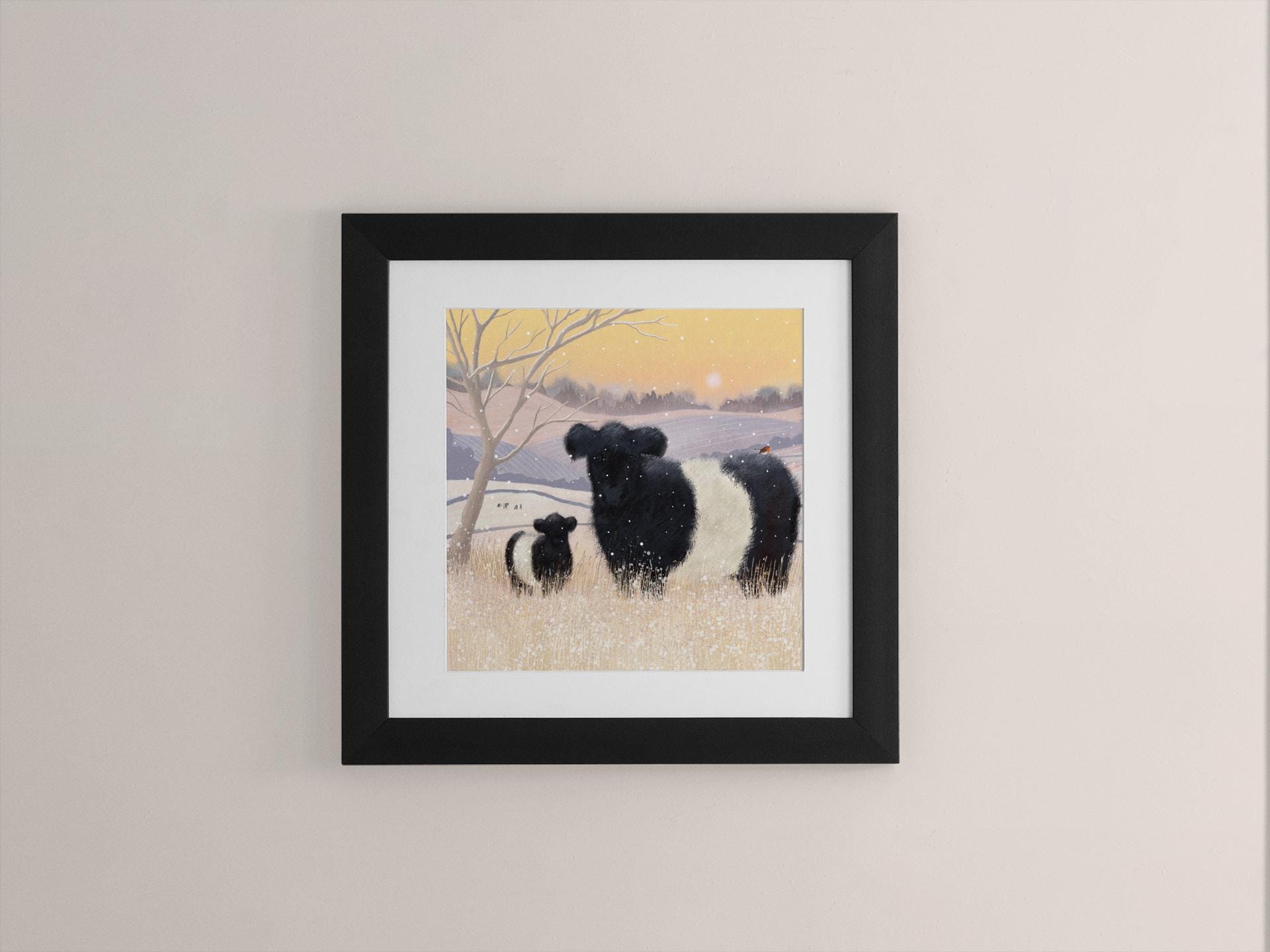 Baltic Belties Art Print. Print only or framed. Belted Galloway Cattle in a scottish winter landscape.