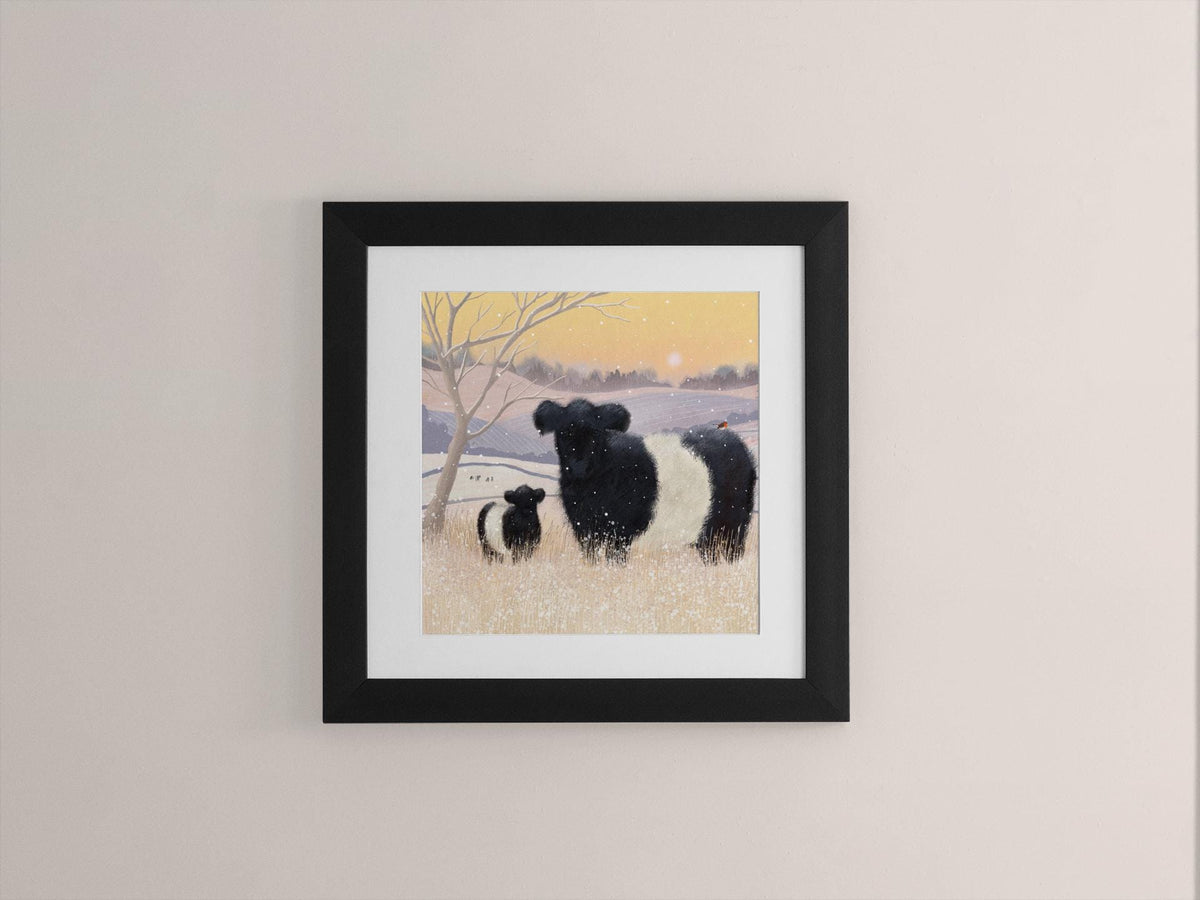 Belted Galloway Cattle Print: Scottish Winter Landscape Art