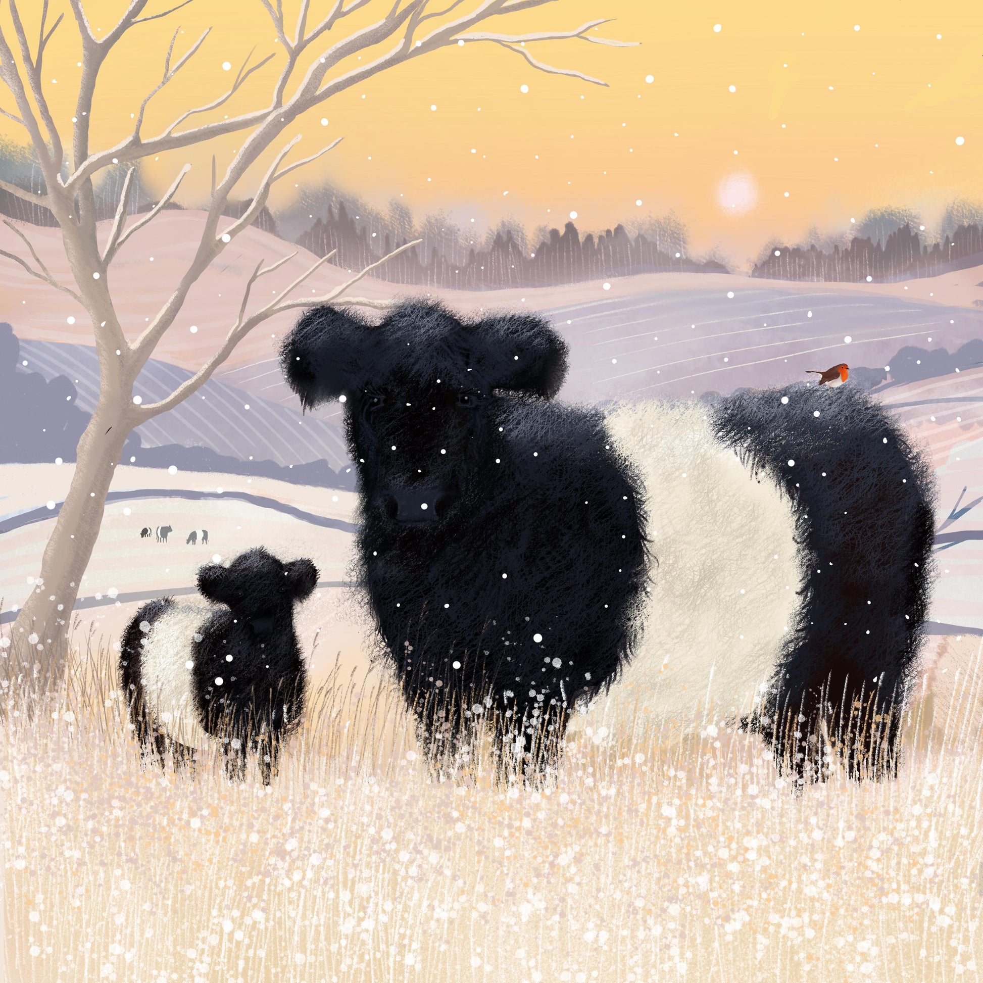 Belted Galloway Christmas card. Winter card. Can be personalised. Scottish winter landscape. Seasonal card.