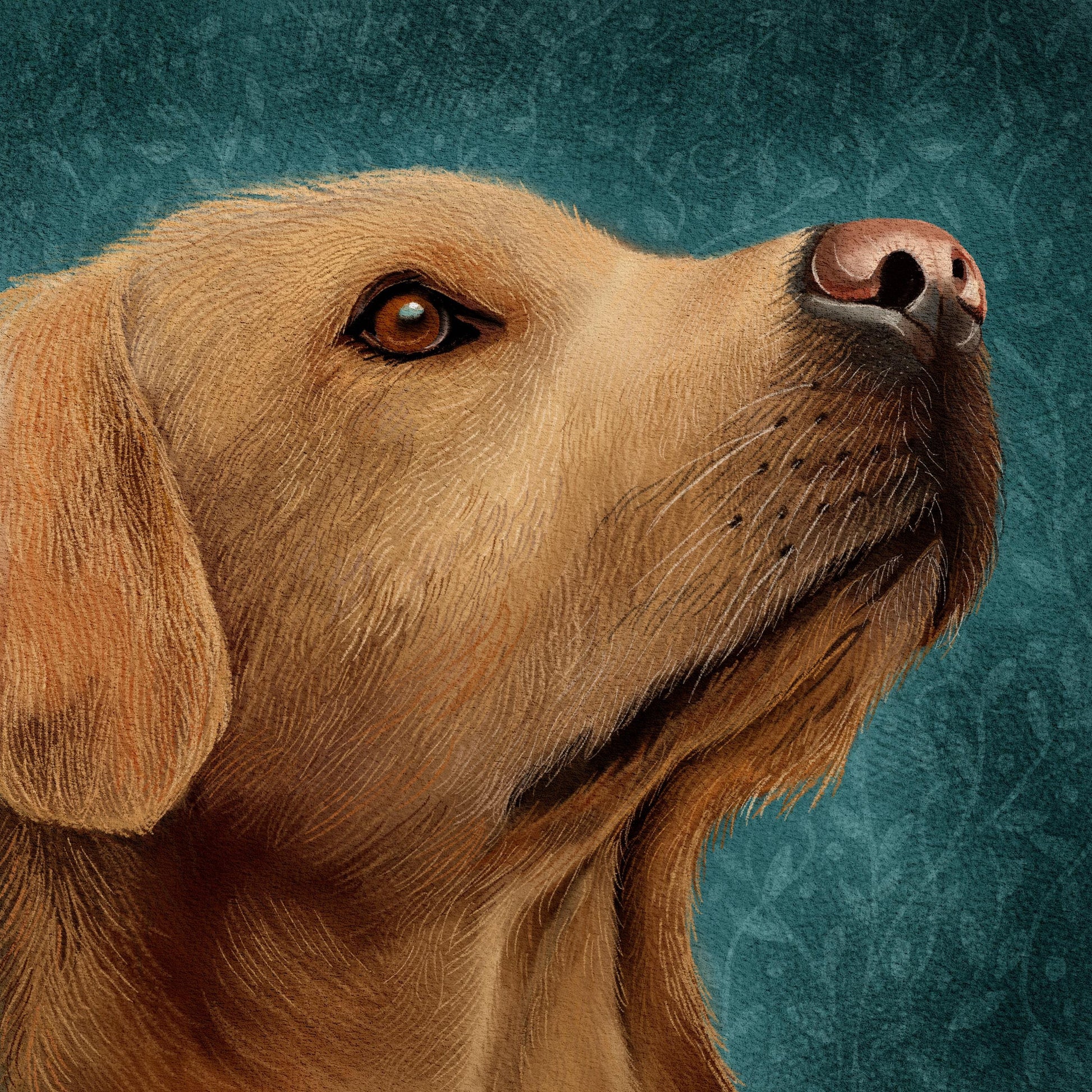 Golden Labrador Wall Art: Print only, Framed or Canvas. Original Art