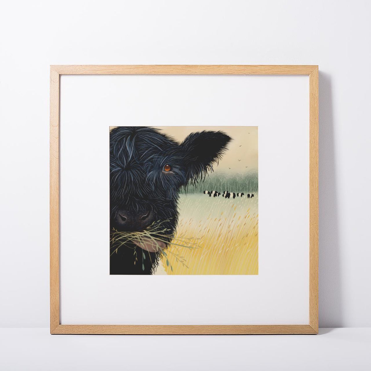 Belted Galloway Wall Art - Lunchtime. Belties in a field. Signed Giclee Print.