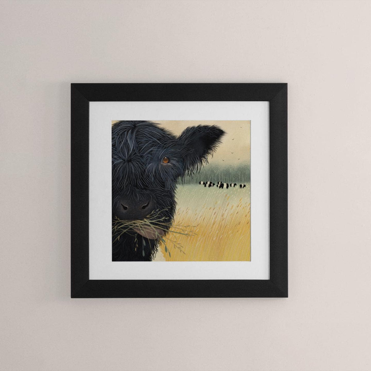 Belted Galloway Wall Art - Lunchtime. Belties in a field. Signed Giclee Print.